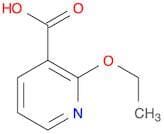 2-ETHOXYNICOTINIC ACID