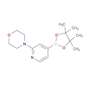 2-Morpholinopyridine-4-boronic acid, pinacol ester