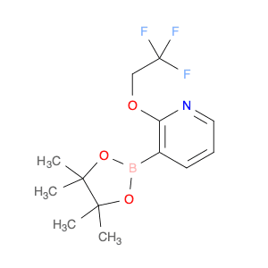 2-(2,2,2-TRIFLUOROETHOXY)PYRIDINE-3-BORONIC ACID PINACOL ESTER