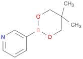 Pyridine-3-boronic acid, neopentyl glycol ester