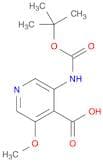 3-(tert-Butoxycarbonylamino)-5-methoxyisonicotinic acid