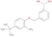 3-[(4'-tert-Butyl-2'-methylphenoxy)methyl]phenylboronic acid
