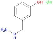 3-Hydroxybenzylhydrazine DiHCl