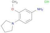 3-Methoxy-4-pyrrolidinoaniline DiHCl