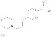 4-(2-Morpholinoethoxy)phenylboronic acid, HCl