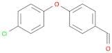 4-(4-Chlorophenoxy)benzaldehyde