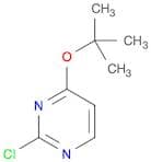 4-(tert-Butoxy)-2-chloropyrimidine