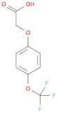 2-(4-(Trifluoromethoxy)phenoxy)acetic acid