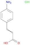 3-(4-Aminophenyl)acrylic acid hydrochloride