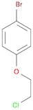 4-Bromophenyl 2-chloroethyl ether