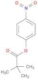 4-Nitrophenyl trimethylacetate
