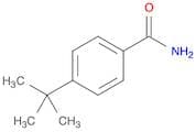 4-(tert-Butyl)benzamide