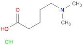 5-(Dimethylamino)-pentanoic acid HCl