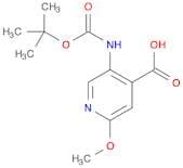 5-(TERT-BUTOXYCARBONYLAMINO)-2-METHOXYPYRIDINE-4-CARBOXYLIC ACID