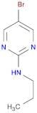 5-Bromo-2-propylaminopyrimidine