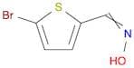5-Bromothiophene-2-carbaldehyde oxime