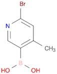6-Bromo-4-Methylpyridin-3-Ylboronic Acid