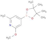 6-Methoxy-2-picoline-4-boronic acid, pinacol ester
