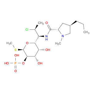 Clindamycin Phosphate