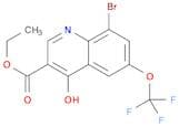 Ethyl 8-bromo-4-hydroxy-6-(trifluoromethoxy)quinoline-3-carboxylate