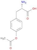 O-ACETYL-L-TYROSINE