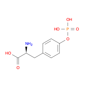 O-PHOSPHO-L-TYROSINE