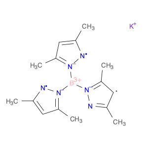 POTASSIUM HYDROTRIS(3,5-DIMETHYLPYRAZOL-1-YL)BORATE