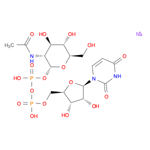 UDP-GlcNAc disodium