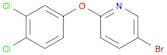 5-BROMO-2-(3,4-DICHLOROPHENOXY)-PYRIDINE