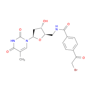 Thymidine, 5'-[[4-(bromoacetyl)benzoyl]amino]-5'-deoxy-