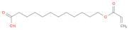 Dodecanoic acid, 12-[(1-oxo-2-propenyl)oxy]-