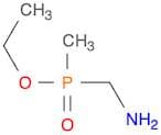 ethyl (aminomethyl)(methyl)phosphinate