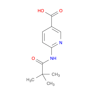 6-Pivalamidonicotinic acid