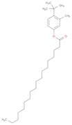 Octadecanoic acid, 4-(1,1-dimethylethyl)-3-methylphenyl ester