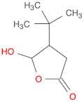 2(3H)-Furanone, 4-(1,1-dimethylethyl)dihydro-5-hydroxy-