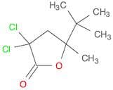 2(3H)-Furanone, 3,3-dichloro-5-(1,1-dimethylethyl)dihydro-5-methyl-