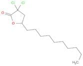 2(3H)-Furanone, 3,3-dichloro-5-decyldihydro-