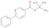 3-Pyridinecarboxylic acid, 6-phenyl-, 1,1-dimethylethyl ester