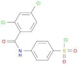 Benzenesulfonyl chloride, 4-[(2,4-dichlorobenzoyl)amino]-