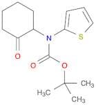 Carbamic acid, (2-oxocyclohexyl)-2-thienyl-, 1,1-dimethylethyl ester