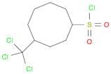 Cyclooctanesulfonyl chloride, 4-(trichloromethyl)-