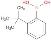 Boronic acid, [2-(1,1-dimethylethyl)phenyl]-