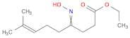 7-Nonenoic acid, 4-(hydroxyimino)-8-methyl-, ethyl ester