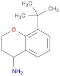 8-(tert-Butyl)chroman-4-amine