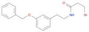 Propanamide, 3-bromo-N-[2-[3-(phenylmethoxy)phenyl]ethyl]-