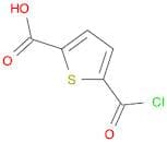 2-Thiophenecarboxylicacid, 5-(chlorocarbonyl)-