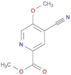 2-Pyridinecarboxylic acid, 4-cyano-5-methoxy-, methyl ester