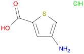 4-Aminothiophene-2-carboxylic acid hydrochloride