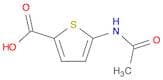 5-acetamidothiophene-2-carboxylic acid
