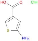 5-aminothiophene-3-carboxylic acid hydrochloride